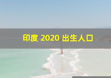 印度 2020 出生人口